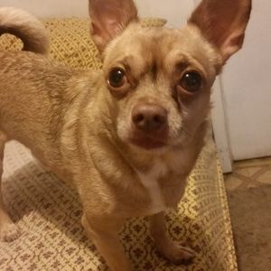 Meet your Posher, Eli aaron